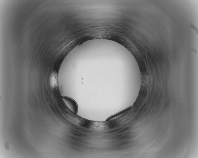 X0000096210095200802081512