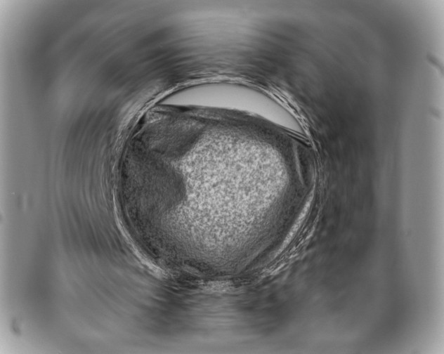 X0000096210097200802081511