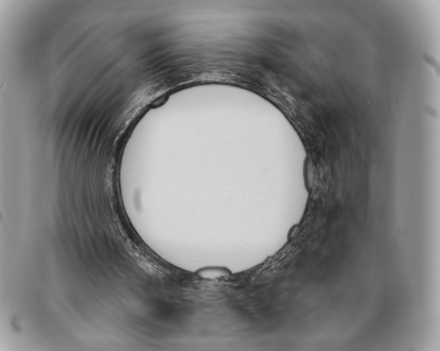 X0000096210098200802081511