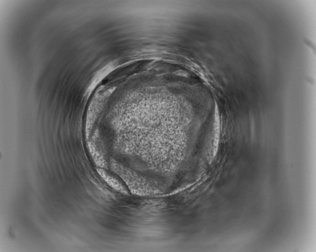 X0000096210099200802081511