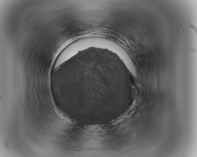 X0000096210100200802081511