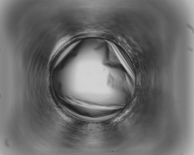 X0000096210101200802081511