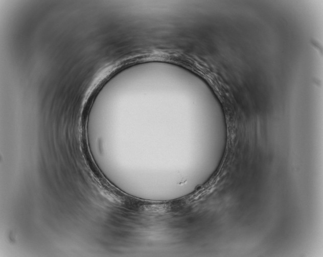 X0000096210102200802081511