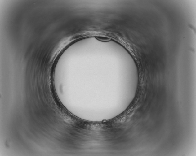 X0000096210103200802081511