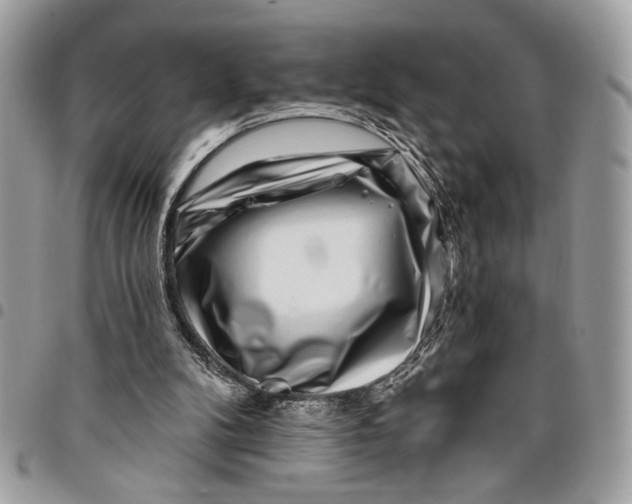 X0000096210104200802081511