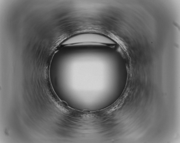 X0000096210105200802081511