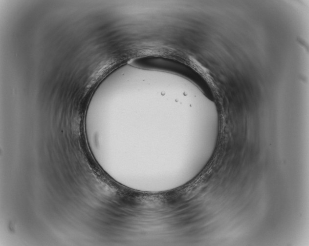 X0000096210106200802081511