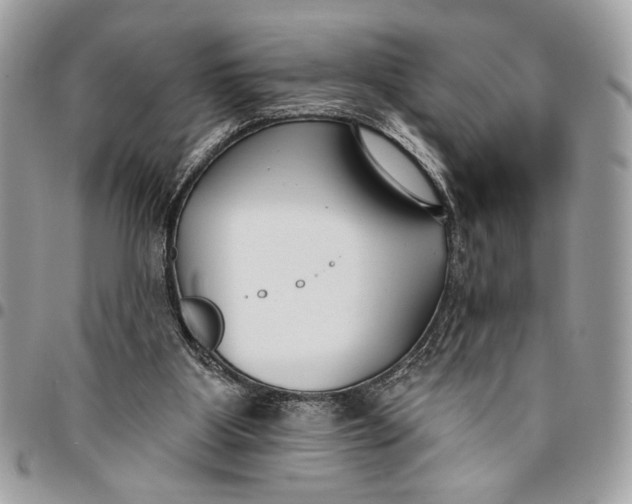 X0000096210107200802081511