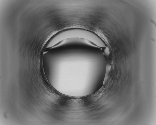 X0000096210108200802081511