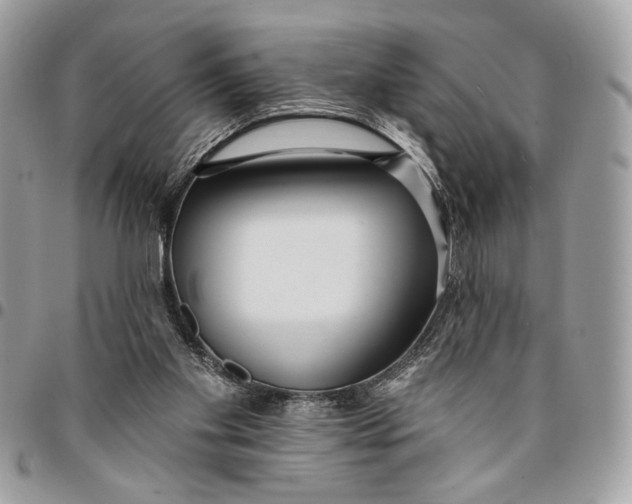 X0000096210109200802081511