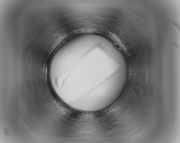 X0000096210110200802081511