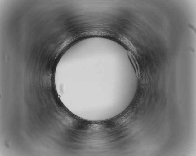 X0000096210111200802081511