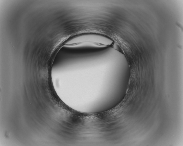 X0000096210112200802081511