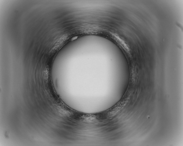 X0000096210113200802081511