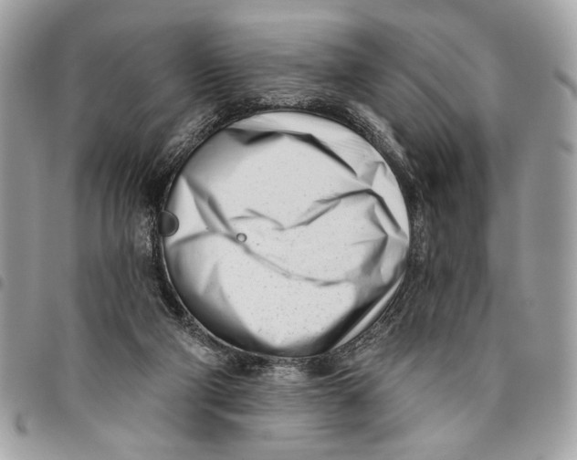 X0000096210114200802081511