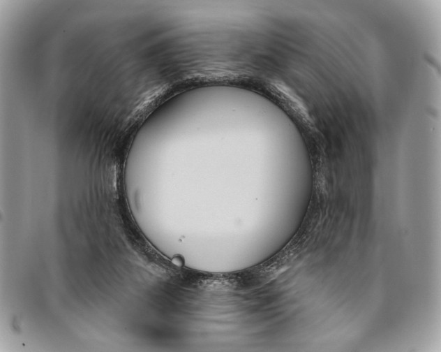 X0000096210115200802081511