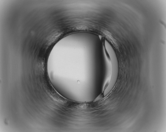 X0000096210116200802081511