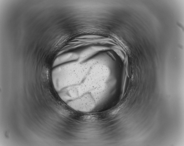 X0000096210117200802081511