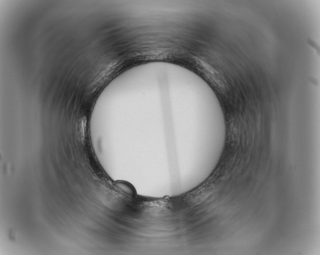 X0000096210118200802081511