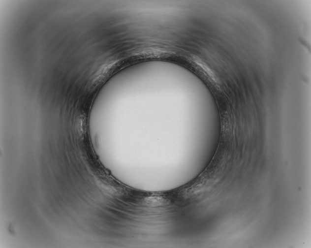 X0000096210119200802081511