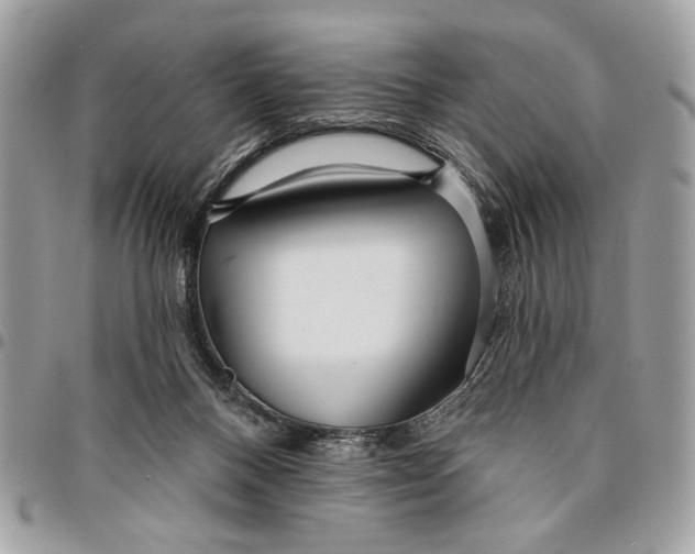 X0000096210120200802081511