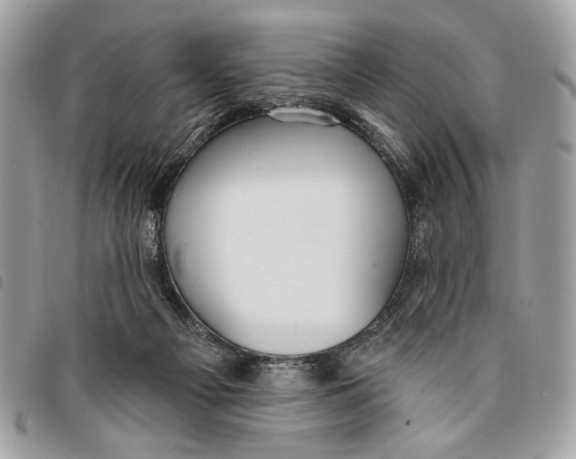 X0000096210121200802081511