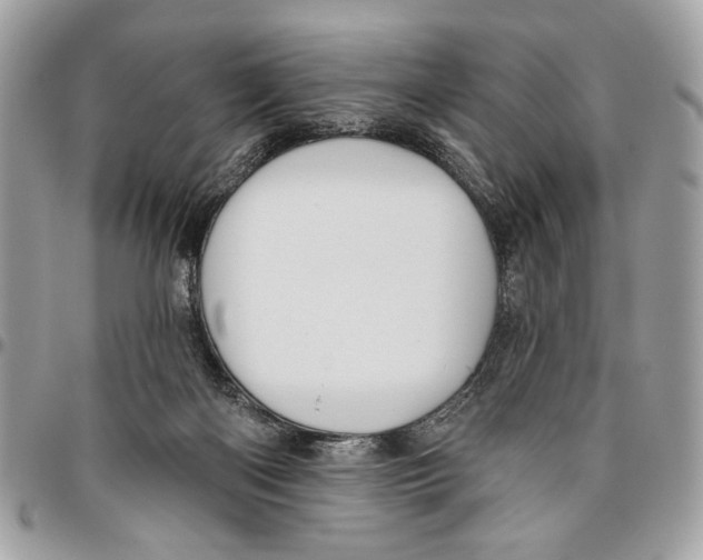 X0000096210122200802081511