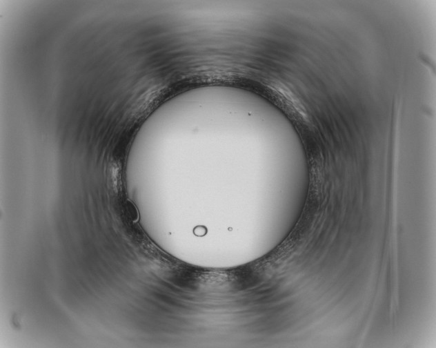 X0000096210123200802081511