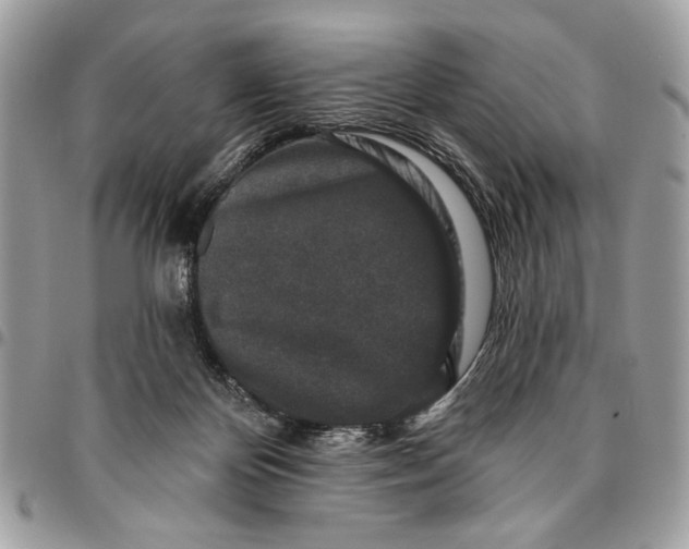 X0000096210124200802081511