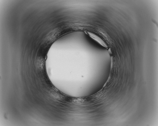 X0000096210125200802081511