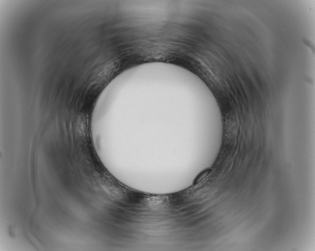 X0000096210126200802081511