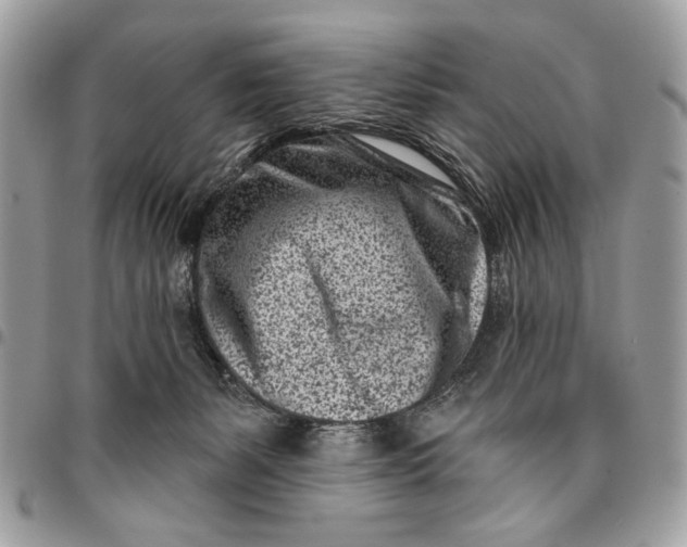 X0000096210127200802081511