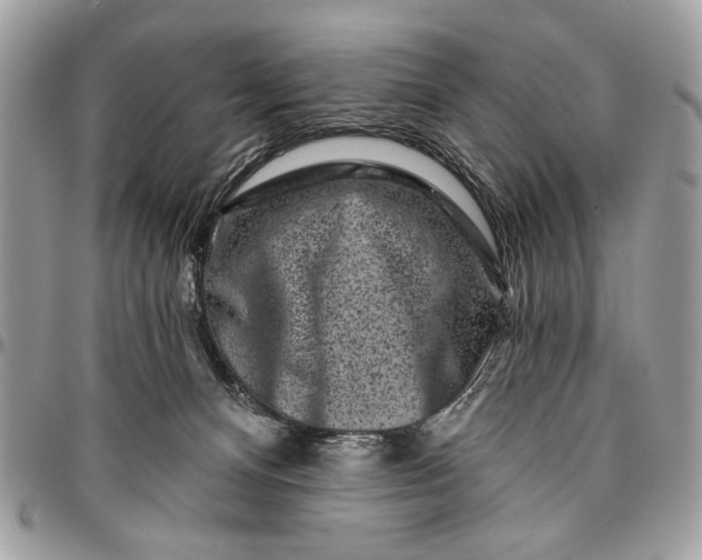 X0000096210128200802081511