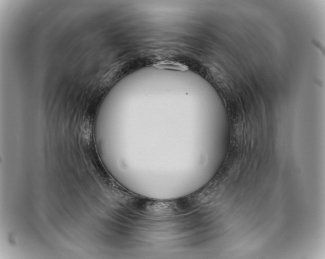 X0000096210129200802081511