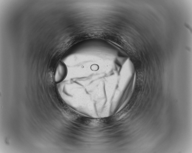 X0000096210130200802081511