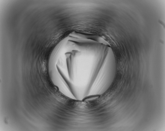 X0000096210131200802081511