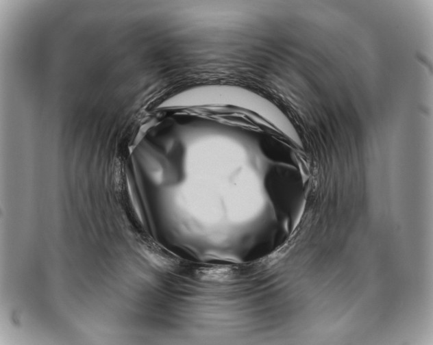 X0000096210132200802081511