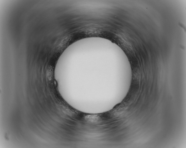 X0000096210133200802081511