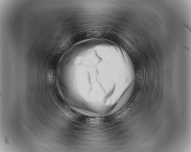 X0000096210134200802081511