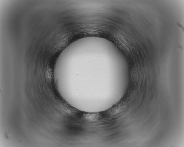 X0000096210135200802081511