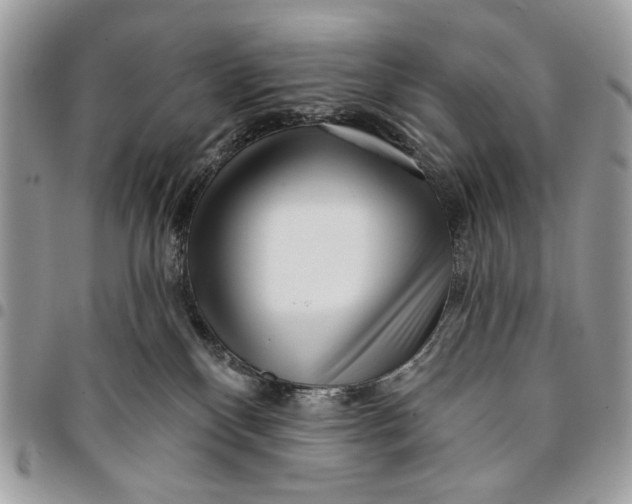 X0000096210136200802081511