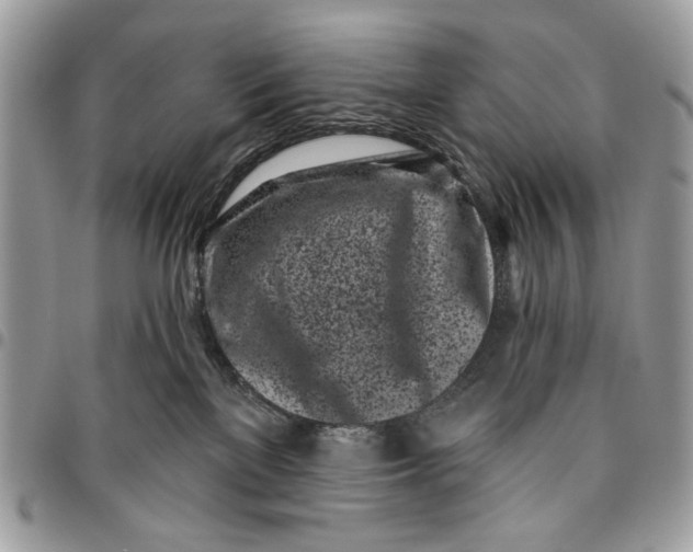 X0000096210137200802081511