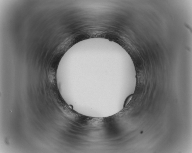 X0000096210138200802081511