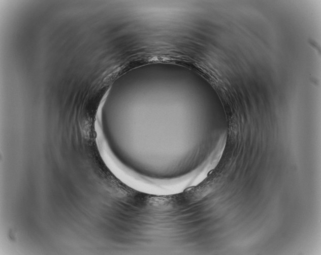 X0000096210139200802081511