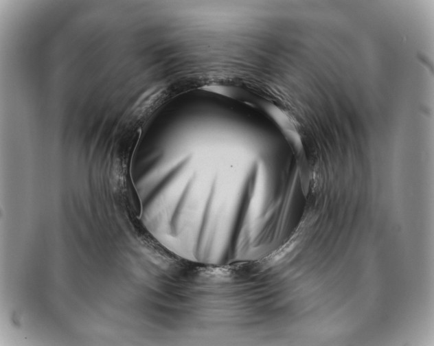 X0000096210140200802081511