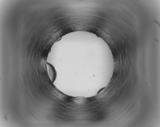 X0000096210142200802081511