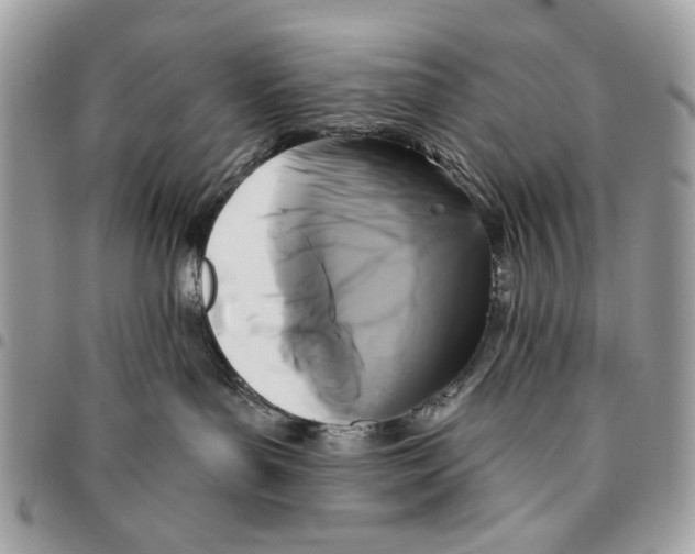 X0000096210143200802081511