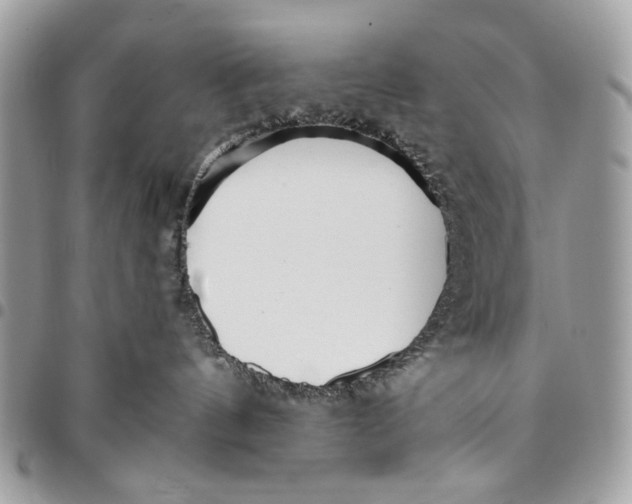 X0000096210144200802081511