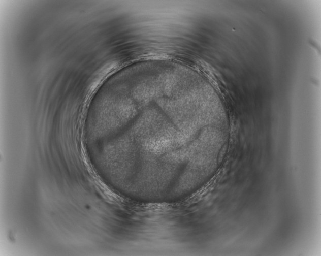 X0000096210145200802081510