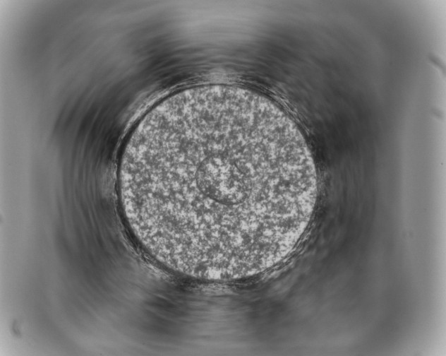 X0000096210146200802081510